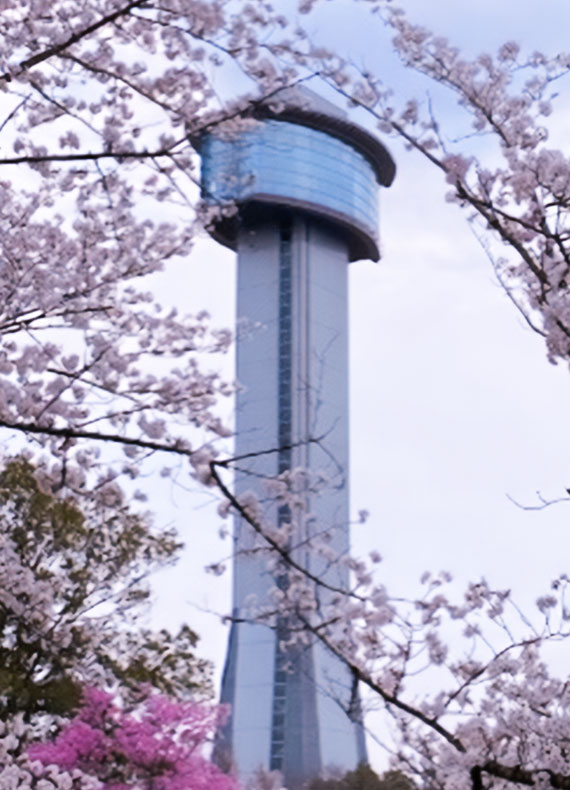 桜と行田タワー