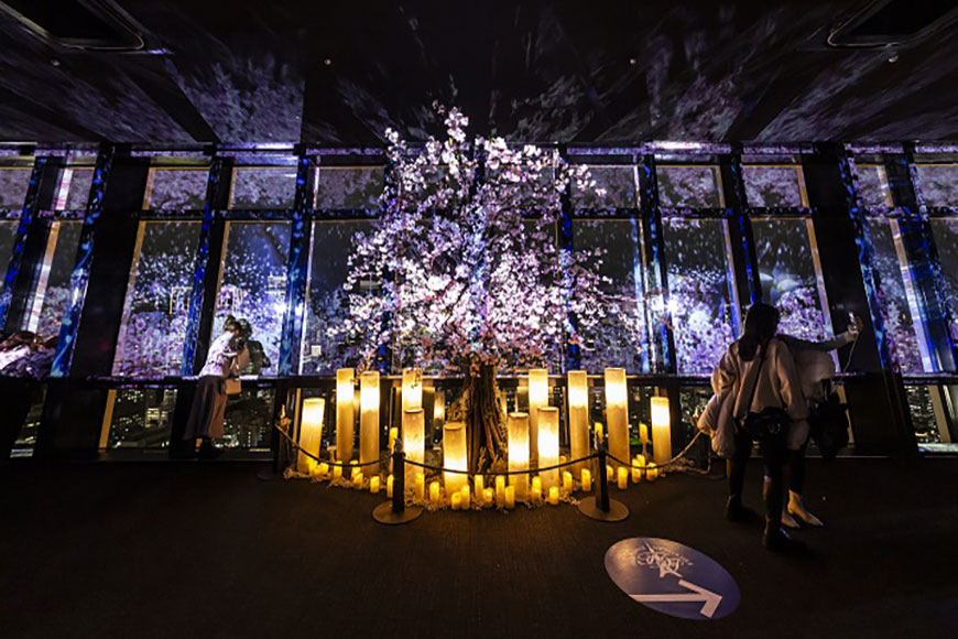 TOKYO TOWER CITY LIGHT FANTASIA ~Spring Concerto 2026~